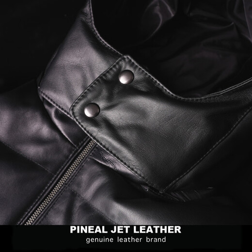 PJL男款冬季加厚新款绵羊皮帽子短款简约羽绒皮衣外套皮短羽绒 黑色 L (155斤以下)