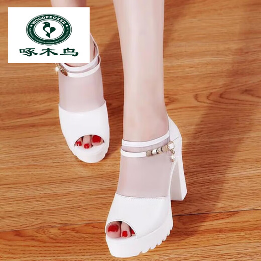 Woodpecker 2024 spring and summer fashion mesh shoes for women waterproof platform thick sole high heel thick heel fish-mouth single shoes Roman mesh sandals black 35