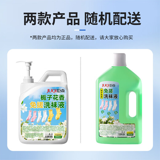 Juqi Selected Sock Cleaning Liquid 2L*1 Bucket No-Scrub Washing Underwear Washing and Sterilizing Rate 99.9% Gardenia Flower Fragrance