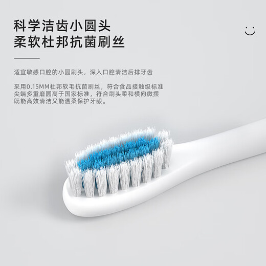 New electric toothbrush rechargeable adult soft-bristled waterproof sonic vibration home couple toothbrush Sakura pink base fast charging 12 brush heads + stand + travel box