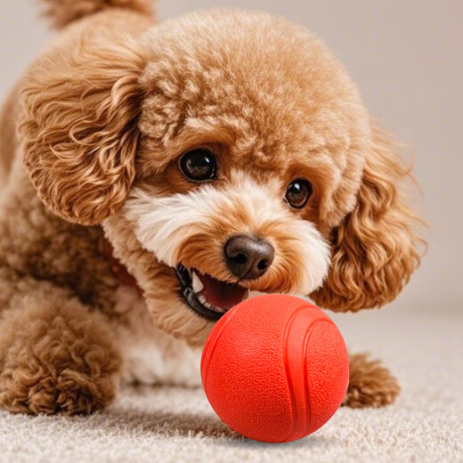 Zanpet dog toy ball, bite-resistant and molar-resistant elastic ball, Teddy self-pleasure and boredom relief, solid rubber ball for pet training
