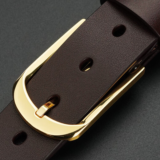 牛当家不锈钢扣皮带男针扣真皮腰带头层牛皮商务百搭高档裤带 金色扣3291咖色 125cm 39-40码/腰围3.2-3.3尺