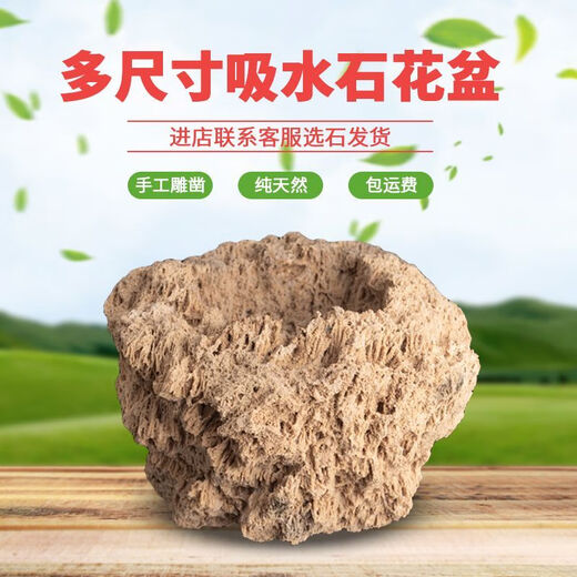 Absorbent stone flower pot, natural strange stone, absorbent stone, upper water stone, original stone, stone pot, calamus, succulent potted plant, bonsai micro landscape, absorbent stone, flower pot 10-12cm (no gifts)