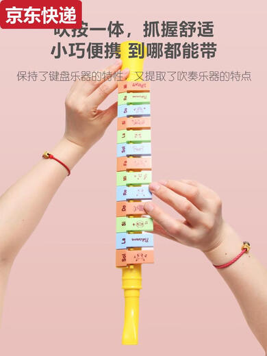 蓝彩何口风琴儿童乐器口琴幼儿喇叭吹口哨竖笛宝宝小喇叭玩具早教 皮卡丘13音口风琴可吹更多歌曲