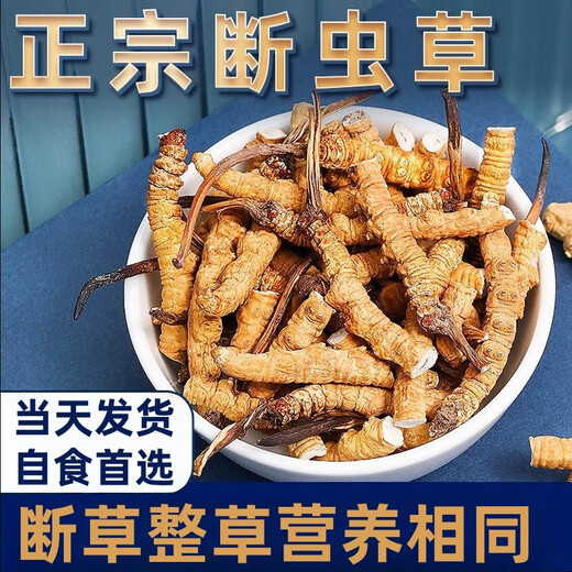 冬虫夏草断草断虫草高海拔虫草断草正宗冬虫夏草滋补品泡酒料药材 西藏那曲大断草100克装送12克