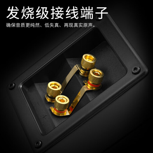 HiVi D3.2F home theater audio 2.0-channel hifi high-fidelity living room TV HiFi audio floor-standing front speaker