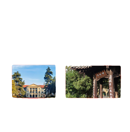 [Versión electrónica no física] Yangzhou University 863 Enseñanza en el plan de estudios de la escuela primaria y enseñanza + 333 Notas de preguntas reales Materiales electrónicos individuales