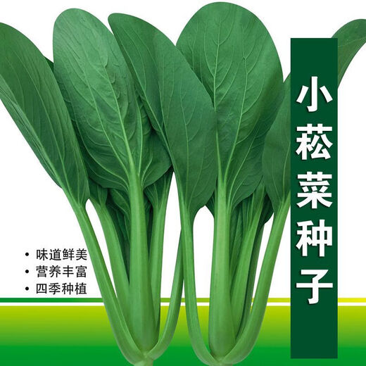 
Green stems and small vegetable seeds in spring and summer, small cabbage, rapeseed, vegetable seeds, green vegetable seeds, all seasons of balcony pot plant #G4B[Xiaoseng seeds] 15931 capsules