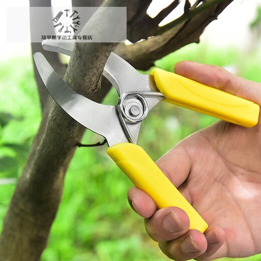 Fruit tree ring grafting shears, girdling shears, girdling shears, girdling shears, grape girdle girdling shears, fruit tree durable yellow girdling shears (no serrations)