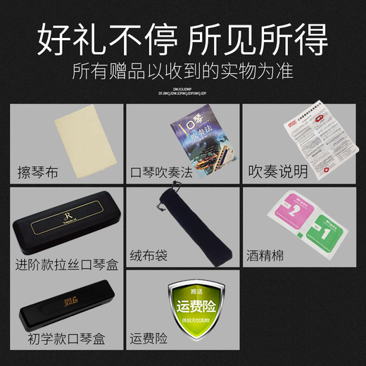 嘉德瑞复音口琴嘉德瑞24孔C调初学者自学可刻字演奏级乐器 马卡龙粉【不留指纹+送自学礼包