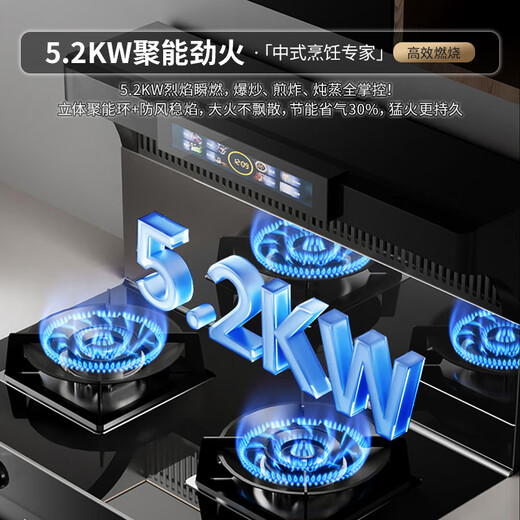 欧派集成灶一体式家用变频大吸力油烟分离集成灶一体灶油烟机环保灶一级能效 【流云系列】826SZXK上烤下蒸 天然气