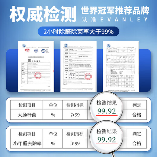 EVANLEY German ozone generator sterilizer household air purifier industrial food factory car sterilization and formaldehyde removal 12V car 10g (cigarette lighter interface)