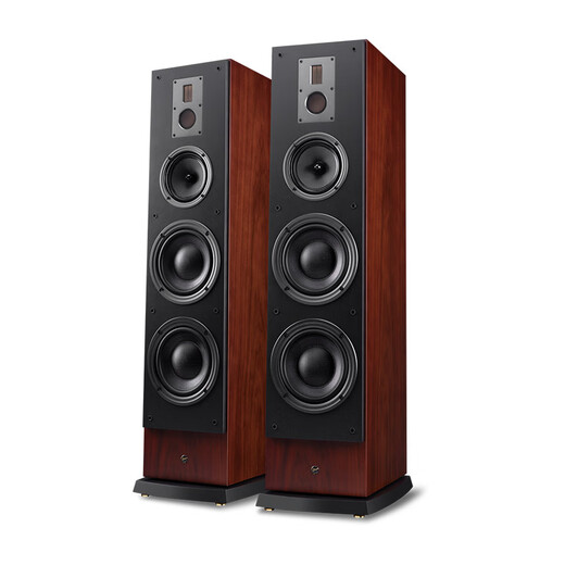 HiVi RM800HT+Sub12S DSP PLUS+Dianlong