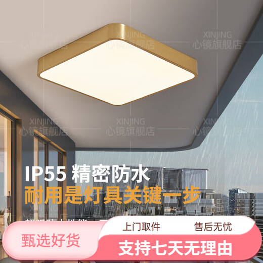 心镜全铜户外吸顶灯别墅大门口超薄门前灯室外过道阳台灯防蚊虫庭院灯 X3893-800/方形