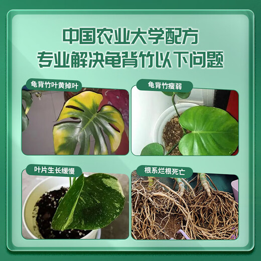 Manlife Monstera special fertilizer nutrient solution hydroponics soil cultivation dual-purpose tools high-quality red handle wide shovel