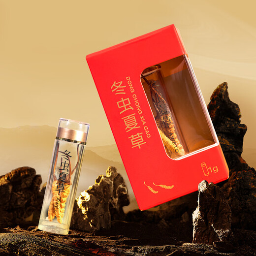 紫蓝花海冬虫夏草 3-4根/g 1g 新干高品质虫草滋补品尝鲜【健康礼盒】