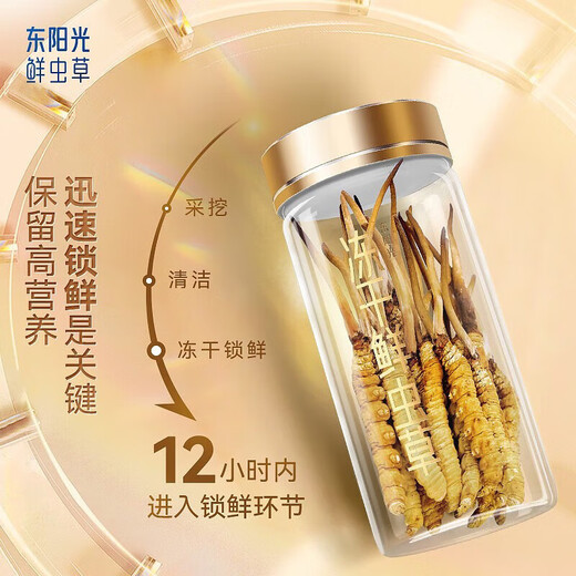 Dongyangguang Cordyceps sinensis 3-4 roots/g50g about 175 roots Cordyceps high-end gift box nutritional supplements for elders and parents