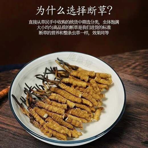 Authentische tibetische Gegend naqu großes gebrochenes Gras frisch cordyceps sinensis gebrochenes gras cordycep
