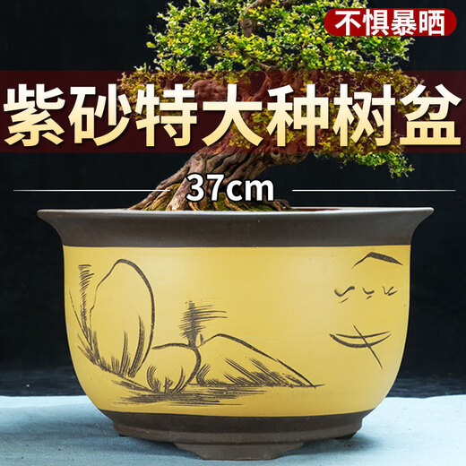 Yixing Purple Clay Orchid Pot cuenca redonda de la boca Balcón Clivia Ivy verde plantas verdes suculenta bote de cerámica extra grande 695 extra grande tamaño