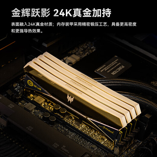 Acer PREDATOR 192G (48G 4) set DDR5 6000 frequency desktop memory stick Hera Shadow Series RGB light strip (C28) OC LAB version AI computer accessories