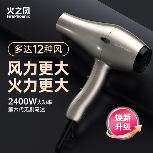 Fire Phoenix Hair Dryer 6600X, high power 2400W for hair salons, high wind power, low noise, home constant temperature hair care, no hair damage, barber shop professional hair dryer home appliance 6601X titanium gray negative ion 2m cord length (home version four-speed wind)