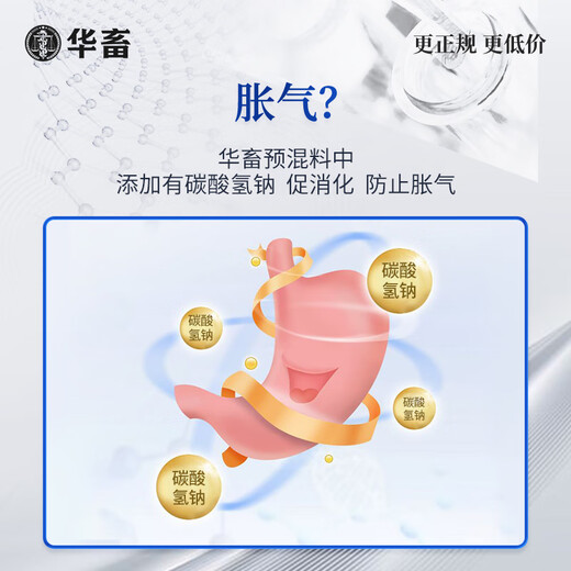 Huazhu 4% beef cattle feed, meat and sheep compound premix, sheep feed and cattle special fattening feed additive, ewe 1 bag, frame 40Jin, Jin equals 0.5kg, cattle and sheep fattening premix 4