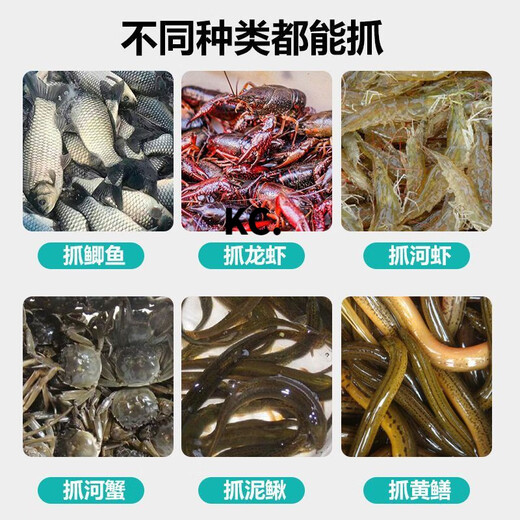 Kaooseen new folding fish cage, shrimp cage, fish net, shrimp net, crab fishing net, fishing net, loach cage, eel cage, lobster net, luxury fishing shrimp cage 6 holes + gift bag