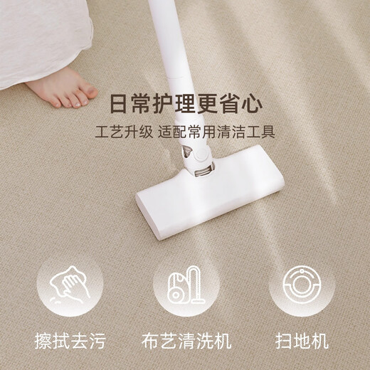 ZSVIP Living Room Carpet 2025 New Cool Floor Mat Summer Ice Wire Light Luxury High-end Room Tatami Free Washable and Wipeable Yimu-15780 180cm*250cm