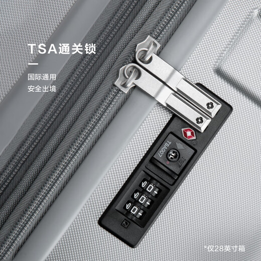 Samsonite suitcase 20 inches + 28 inches trolley box mother suitcase travel lock box NX0 silver