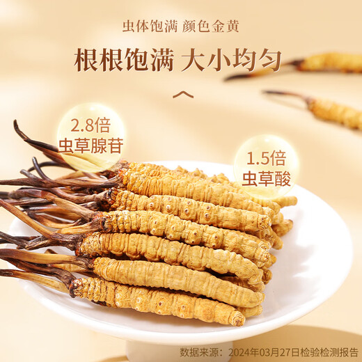 Yuanjiang Grass Cordyceps sinensis Nouveaux toniques cordyceps séchés pour les parents et les anciens Boîte-cadeau haut de gamme 3 bâtons / g 10 grammes [boîte cadeau à chaud]