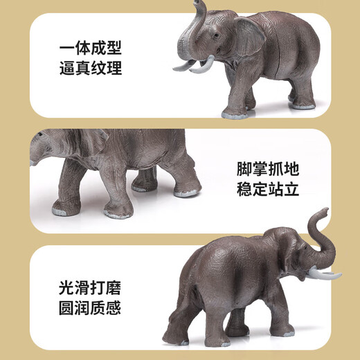 Qiaoqiaotu Children's Toys Dinosaur Solid Zoo Simulation Modèle offrant aux garçons et filles 3-6e cadeaux d'anniversaire