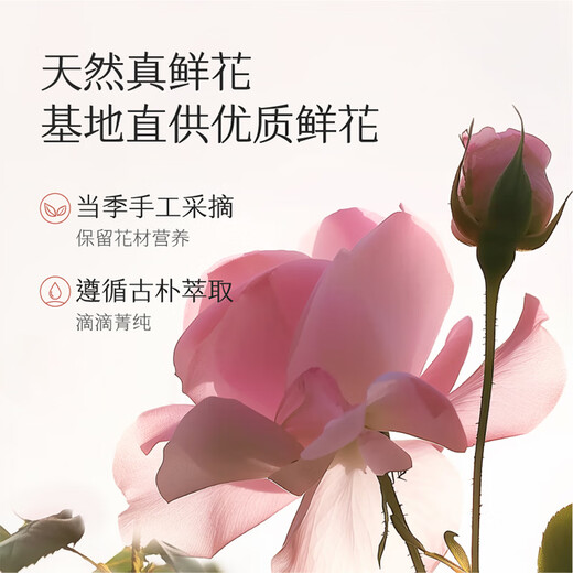 Half an acre of flower fields Reba's same petal amino acid fragrance shower gel with long-lasting fragrance cleansing and moisturizing shower lotion for men and women