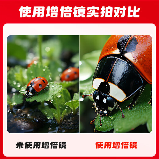 Canon (Canon) Canon original RF extender 2X 1.4X extender (teleconverter) RF 1.4X extender official standard