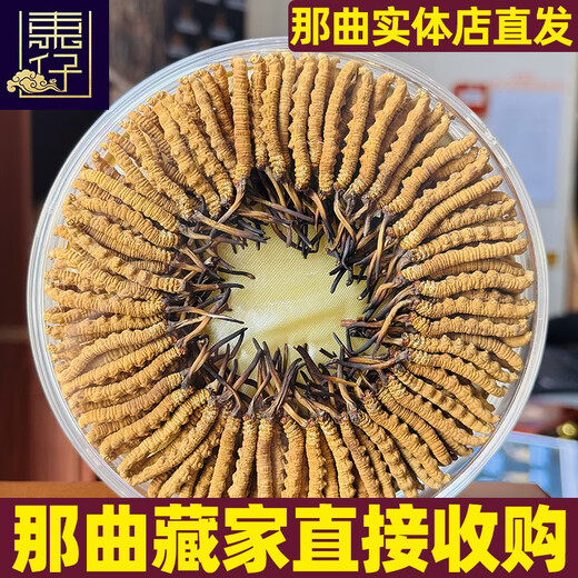 Dongzai [Narqu, Tibet] Wild Cordyceps Sinensis à haute altitude séchée cordyceps cordyceps sinensis Tonic Box pour les anciens [Narqu, Tibet] 3 racines / g - Les aînés offrent 5 grammes (coffret)