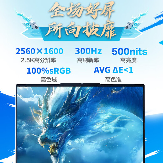 Mechanical Revolution National Subsidy 20% Jiaolong 16Pro Trendy Edition 16-inch Gaming E-Sports Laptop (R9-9955HX 32G 1T RTX5060 300Hz White)