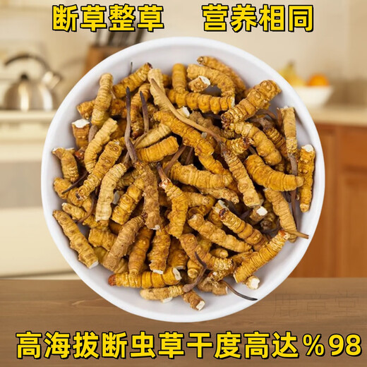 Véritable cordyceps cordyceps sinensis grande herbe brisée haute altitude brisée cordyceps 2025 Premier chaume nouveau auto-usure grande cordyceps cassé naqu high altitude cassée cordyceps 10g pack