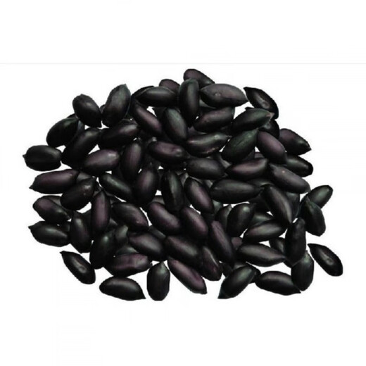 Black peanut seeds, sown in spring and summer, purple and black peanut seeds, black seed peanuts, original peanuts for field use, net weight in shell, Jin Jin equals 0.5 kilograms, 1000 grams