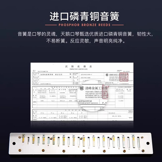 天鹅德国进口音簧珍藏版复音口琴28孔高端送礼入门专业演奏级 【高端款】28孔复音D调+伴奏U盘