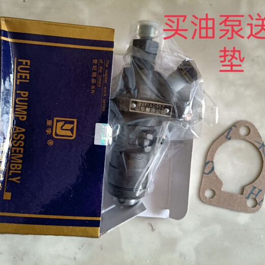 丽田常柴直喷 ZS1115 ZS1105-1110 ZS1100柴油机 喷油泵柴油泵总成 直喷1105油泵