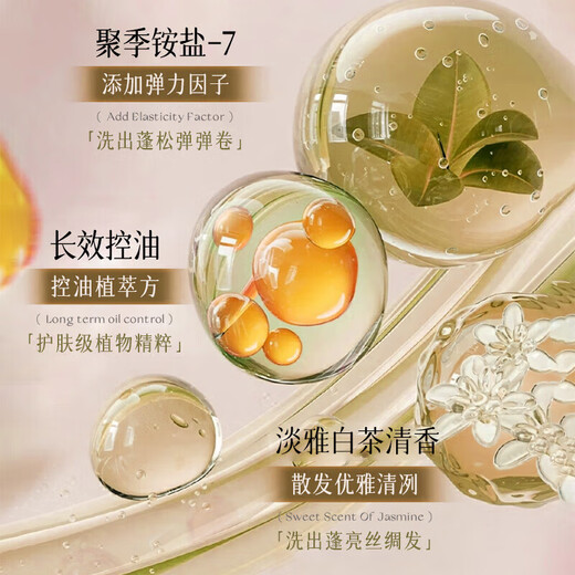 初蔓洗发水男女士去屑止痒控油持久蓬松留香无硅油氨基酸洗头膏露套装 【大吉岭白茶香】香氛洗发水*1 【宝格丽同款】洗发水热销榜第1
