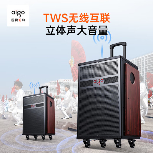 Patriot S615 outdoor square dance audio 15-inch high-power amplifier mobile portable home trolley Bluetooth speaker street stall speaker dual microphone version