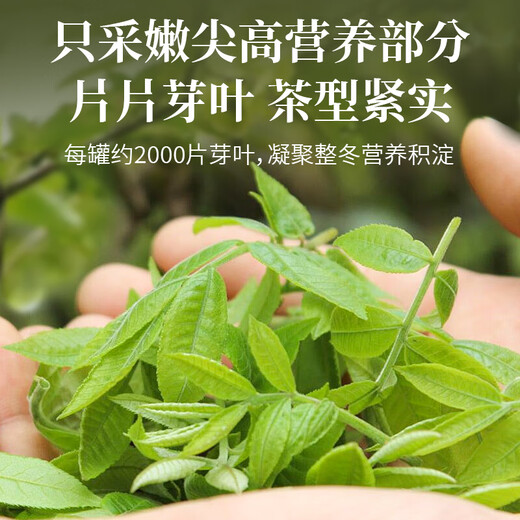 Fudonghai Qingqian Liu Tea 180g [Special A-grade] Money willow leaves deep in the mountains, old trees and young leaves to give health tea to parents