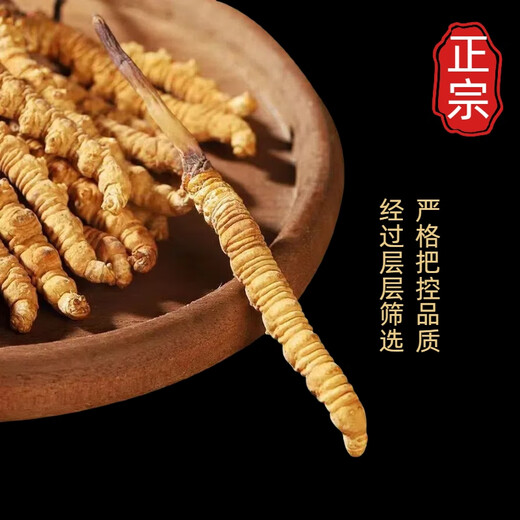 Cordyceps 50 coffre-cadeaux avec de grandes spécifications Cordyceps Hay Généralités de qualité Nourishing Gift 2025 New Cordyceps 50 Boîtes-cadeaux (Spécifications 3 bâtons par gramme)