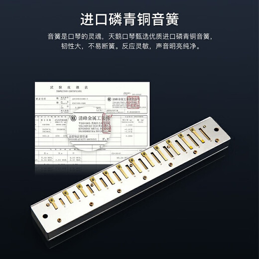 天鹅德国进口音簧24孔复音口琴高级成人专业演奏级初学者入门送礼精品 24孔复音G调+赠品