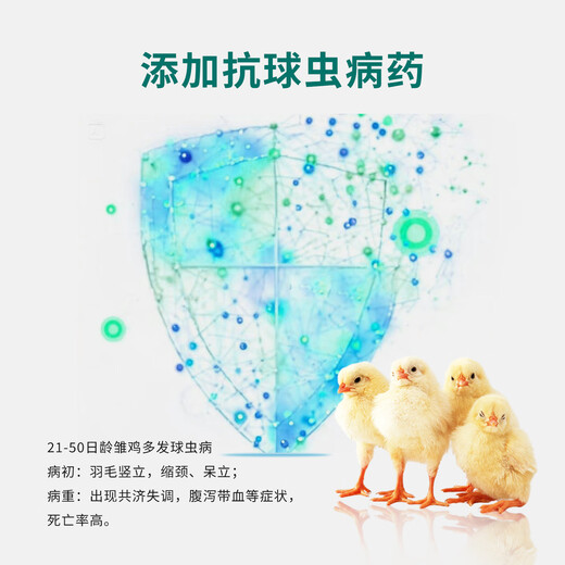 Wholesale of livestock and poultry chicken feed, chicken feed, open grain, special rutin chicken quail, full price pre-mixed granules, chick feed, 1 bag of ten Jin Jin is equal to 0.5 kg