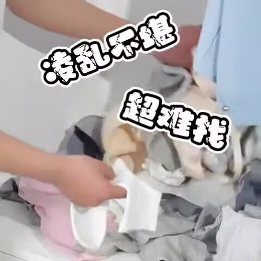 Camellia flat underwear storage box drawer-type household underwear and socks storage artifact clothing storage box wardrobe large unframed moonlight white