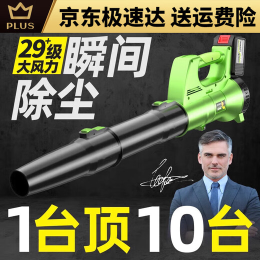 Delis charging blower powerful hair dryer high power industrial storm gun lithium hair dust wireless snow blower Storm 21v-Red DLS charging storm gun 3888TV