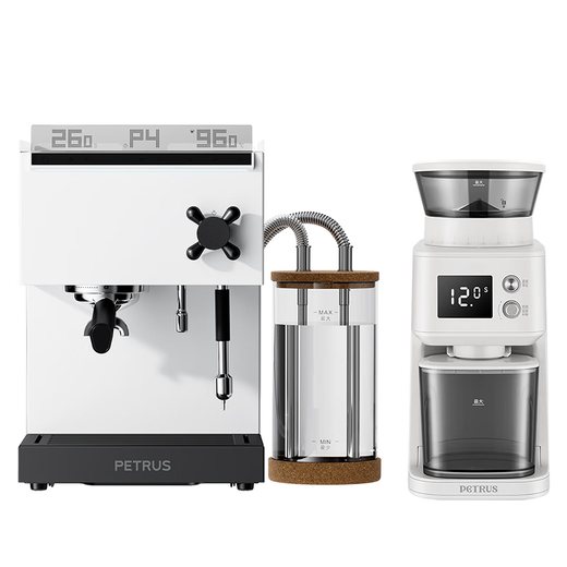 柏翠（petrus）3888pro 咖啡机家用意式半自动浓缩商用办公室小型一体机奶泡双锅炉 节日礼物 太空白