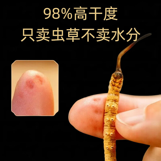Cordyceps 50 coffre-cadeaux avec de grandes spécifications Cordyceps Hay Généralités de qualité Nourishing Gift 2025 New Cordyceps 50 Boîtes-cadeaux (Spécifications 3 bâtons par gramme)