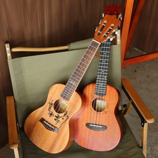 He Jiagong Ukulele Beginner y principiantes para las niñas Vancouver Vancouver de 23 pulgadas Pequeño Guitar